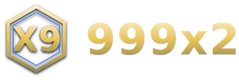 999x2 logo